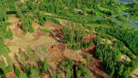 Dron-Aéreo-Girando-Sobre-Un-Bosque-De-Pinos-Con-árboles-Deforestados-Junto-Al-Río-En-Un-Día-Soleado