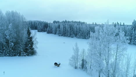 Drone-shot-rising-to-reveal-snow-covered-spruce-forest-in-nature