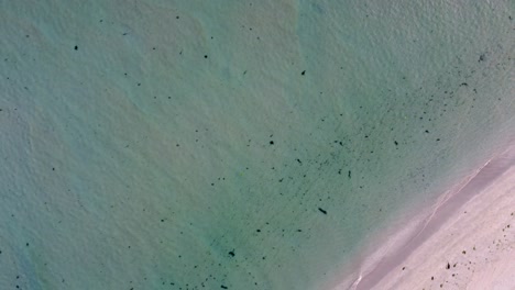 Blaue-Und-Ruhige-Wasserwellen-Auf-Weißem-Sand-Durch-Drohne
