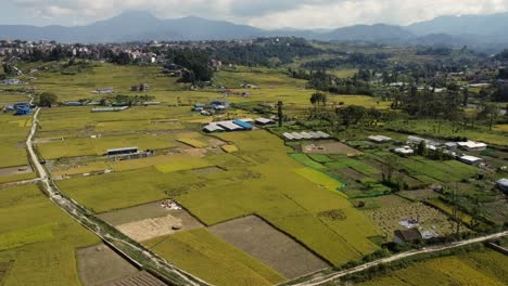 Ein-Video-Von-Den-Schönen-Terrassen-Der-Reisfelder-In-Nepal,-Die-Zur-Ernte-Bereit-Sind,-Mit-Den-über-Ihnen-Ziehenden-Wolken-Und-Menschen,-Die-Auf-Den-Feldern-Arbeiten