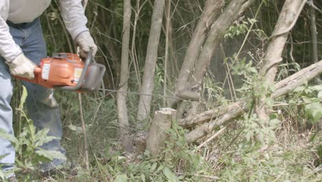 Slow-motion-telephoto-footage-of-a-man-chainsawing-some-small-branches