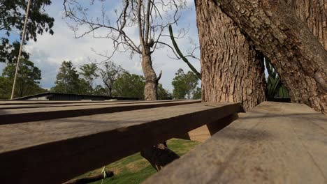 Treehouse-with-wooden-planks-platform-in-country-garden-setting-closeup