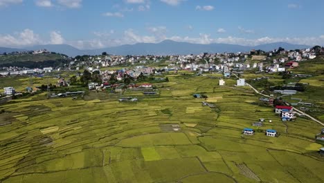 Eine-Luftaufnahme-Der-Erntereifen-Gelben-Reisfelder-Und-Der-Stadt-Kathmandu,-Nepal-Im-Hintergrund-Mit-Den-Himalaya-bergen
