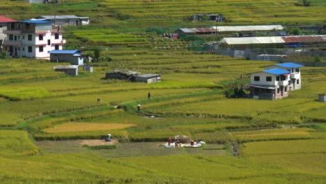 Ein-Video-Von-Den-Schönen-Terrassen-Der-Reisfelder-In-Nepal,-Die-Zur-Ernte-Bereit-Sind,-Mit-Den-über-Ihnen-Ziehenden-Wolken-Und-Menschen,-Die-Auf-Den-Feldern-Arbeiten