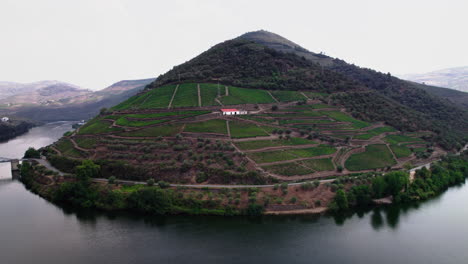 Luftaufnahme-Der-Weinberge-Im-Douro-Tal-Im-Norden-Portugals