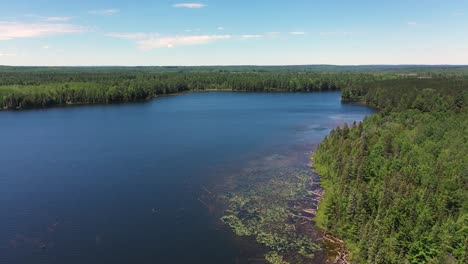 Drone-shot-of-the-Cornwall-Flooding-in-the-Pigeon-River-Forest-area-of-Northern-Michigan