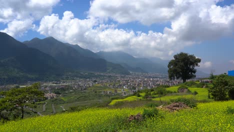 A-beautiful-view-of-the-bright-yellow-mustard-fields-with-a-city-and-the-Himalaya-Foothills-in-the-background