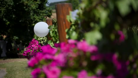 Surfina-flowers-out-of-focus-and-white-balloon-behind-reveal,-wedding-decoration,-outdoors,-slow-motion