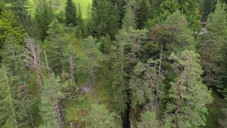 Enthüllen-Luftdrohnenaufnahme-Des-Wasserfalls-Almachschlucht-Bayerische-Alpen-Deutschland