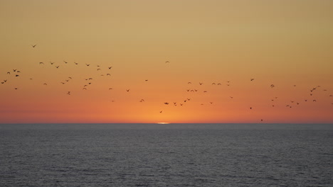 Luftaufnahme-Der-Geriffelten-Wasseroberfläche-Des-Meeres-Bei-Sonnenuntergang