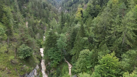 Rising-drone-view-of-wooded-valley-Almach-gorge-Bavarian-Alps-Germany