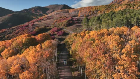 High-above-the-golden-aspen-trees-of-Colorado-lies-adventure