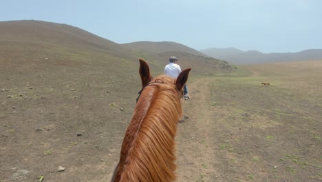 Chestnut-Horse-Riding-POV-on-a-deserted-sunny-hill,-male-rider