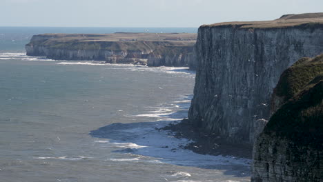 View-of-Bempton-cliffs-gannet-colony-on-the-North-Yorkshire-coast-in-England-in-slow-motion