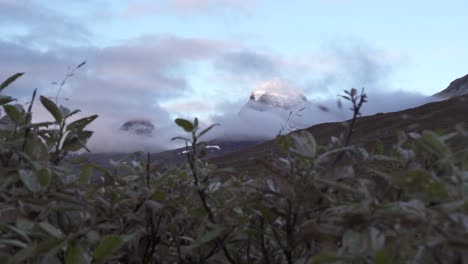 Dolly-shot-of-mountains-partly-covered-by-fog-and-clouds-during-moody-morning,-with-bush-in-foreground