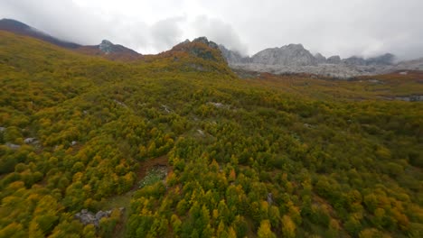 Mountain-covered-in-autumn-coloured-forest-in-Theth,-Albania