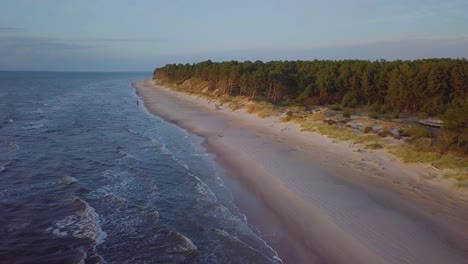 Beautiful-aerial-establishing-view-of-Baltic-sea-coast-on-a-sunny-evening,-sunset,-golden-hour,-beach-with-white-sand,-coastal-erosion,-climate-changes,-wide-angle-drone-shot-moving-forward