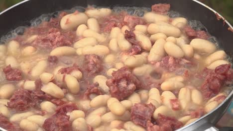 Venison-with-baked-beans-on-a-pan