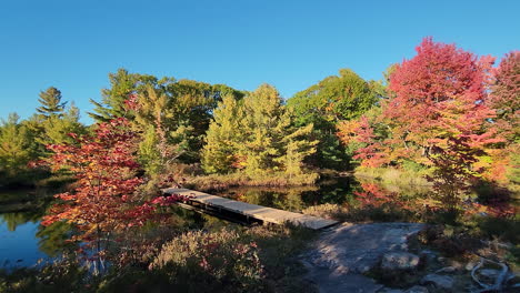 Schöne-Herbstherbstbäume,-Die-Einen-Ruhigen,-Entspannenden-See-Mit-Dock-Umgeben,-Damit-Die-Menschen-Die-Natur-Und-Die-Natur-Genießen-Können