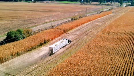 Dolly-Shot-forward-Truck-with-Cargo-Trailer-Attached-Moving-on-large-corn-field-background