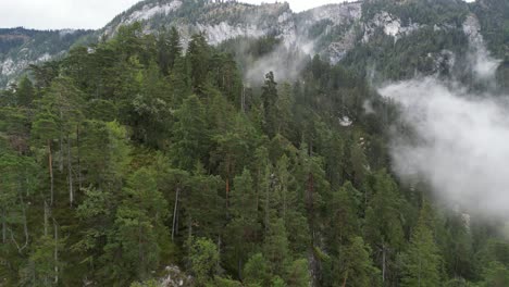 Leichter-Regen-Bewaldeter-Hang-In-Bayern-Deutschland-Drohne-Luftaufnahme