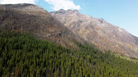 Spektakulärer-Dolly-Vorwärtszoom-In-Den-Bergen-Nach-Einem-Waldbrand-Und-Gesundem-Wald-Auf-Der-Unteren-Seite-Im-Mount-Robson-Provincial-Park-In-British-Columbia-In-Kanada-Bei-Einer-Mischung-Aus-Sonne-Und-Wolken