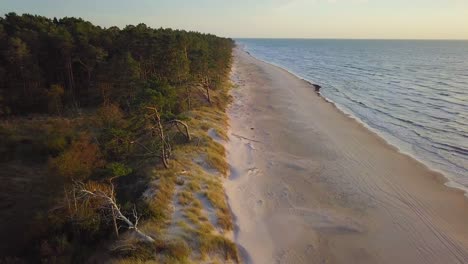 Beautiful-aerial-establishing-view-of-Baltic-sea-coast-on-a-sunny-evening,-sunset,-golden-hour,-beach-with-white-sand,-coastal-erosion,-climate-changes,-wide-angle-drone-shot-moving-backward