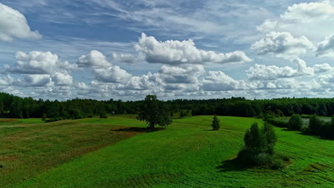 Unglaubliche-Filmische-Drohne-Schoss-Grüne-Grasfelder-Und-Blauen-Bewölkten-Himmel
