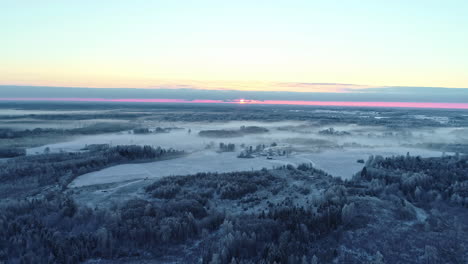 Panoramic-view-from-top-showing-snowy-woodland-with-purple-sunset-at-horizon---aerial-view