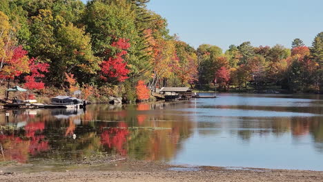 Beautiful-Lake-revealing-itself-in-dreamy-autumn-colors-during-fall-season-in-Canada,-sliding-shot