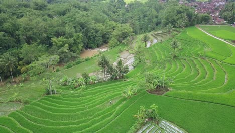 Drohnenblick-Auf-Die-Wunderschöne-Ländliche-Landschaft-Indonesiens