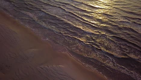 Beautiful-aerial-establishing-birdseye-view-of-Baltic-sea-coast-on-a-sunny-evening,-sunset,-golden-hour,-beach-with-white-sand,-coastal-erosion,-climate-changes,-wide-angle-drone-shot-moving-forward