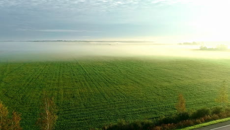 Aerial-drone-forward-moving-shot-over-agricultural-farmlands-covered-with-white-fog-on-a-sunny-morning