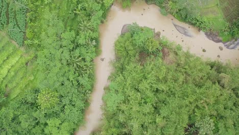 Overhead-drone-shot-of-rural-landscape-with-winding-river-surrounded-by-dense-trees-and-plantation---Tropical-Landscpe-Indonesia