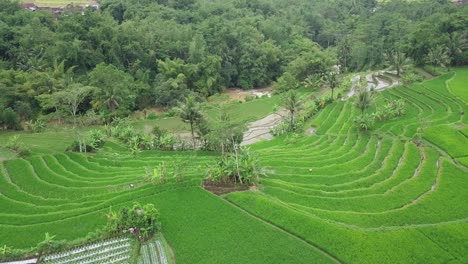 Drohnenvideo-Der-Wunderschönen-Ländlichen-Landschaft-Indonesiens