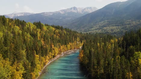 astonishing-dolly-forwards-zoom-shot-over-fraser-river-in-Mount-Robson-Provincial-Park-in-British-Columbia-in-Canada-on-a-sunny-day-surrounded-by-forest-with-yellow-and-green-trees-and-mountain-peaks