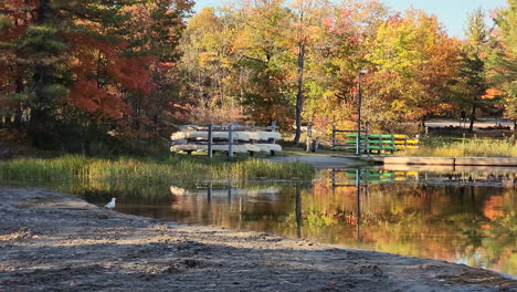 Breathtaking-autumn-Forrest-reflecting-on-a-lake,-colorful-sunny-day,-sliding-shot