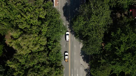 Top-down-drone-shot-following-cars-driving-on-road-with-greenery-on-sides