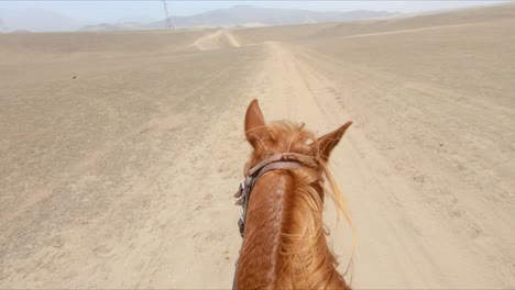 Tired-Horse-riding-through-deserted-land-and-stopping,-female-rider-POV