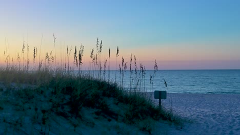sea-oats-waving-in-the-wind-during-sunrise-on-the-white-sands-emerald-coast-Gulf-of-Mexico