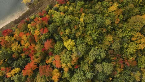 Fall-colors-in-bird's-eye-view