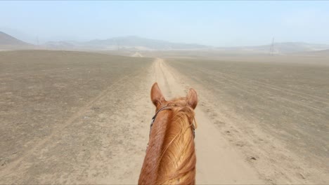 Chestnut-Horse-Riding-POV-through-deserted-land-on-a-sunny-day