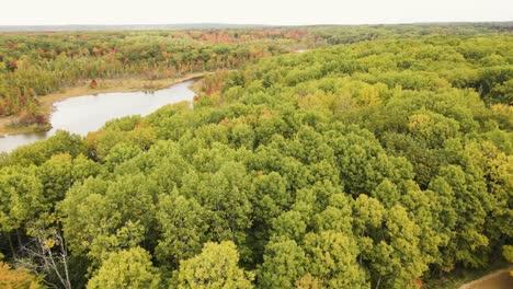 An-aerial-pan-of-changing-leaves-in-Early-Autumn