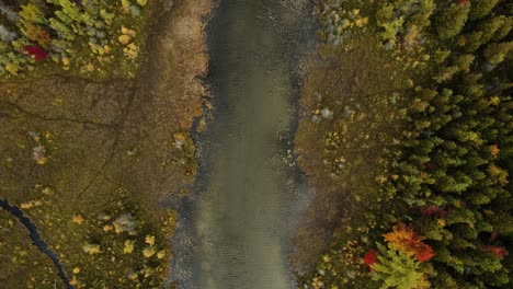 A-Bird's-eye-Point-of-View-track-of-a-small-river-in-Michigan