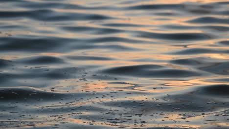 Sonnenaufgang-Reflexion-über-Wasser-Nahaufnahme-Auf-Kräuselungen-Des-Golfs-Von-Mexiko-Auf-Einem-Sommertag-Hintergrund