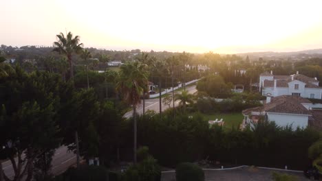 Beautiful-drone-shot-palm-trees-and-luxury-villas-in-Spain-at-sunset