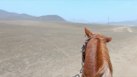 One-eyed-horse-contemplating-deserted-landscape-and-riding-pov