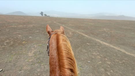 First-person-POV-Chestnut-Horse-riding-through-arid-abandoned-land