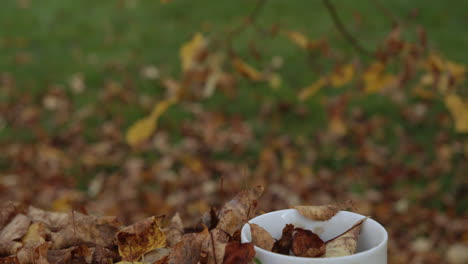 Eine-Vergessene,-Mit-Blättern-Bedeckte-Kaffeetasse-Auf-Einem-Tisch-Im-Freien