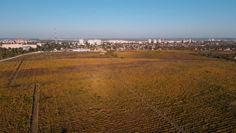 Ascending-aerial-drone-flight-over-the-panorama-of-Chisinau-the-capital-of-Moldova---vineyard-hills-in-autumn---golden-reflection-of-sun-in-afternoon---bird-view-of-Chisinau,-Republic-of-Moldova-2022